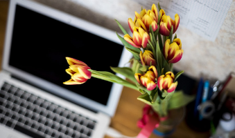 Chattel Houses - About Us